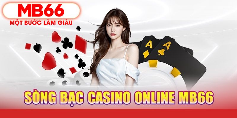 23 win PT Điện Tử