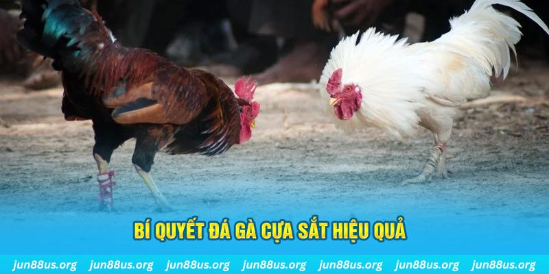 23 win nổ hũ may mắn