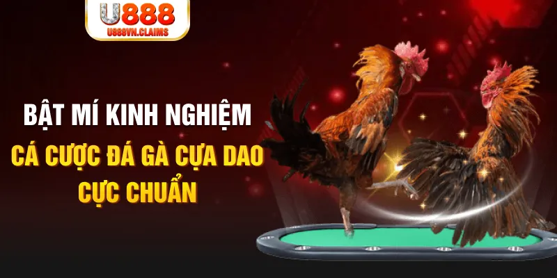 23 win casino hồ tràm có cho người việt vào không