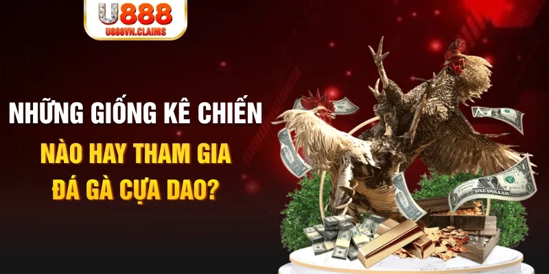 23 win BG Trực Tuyến