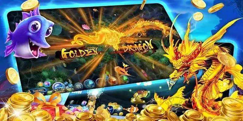 23 win xổ số bạc liêu