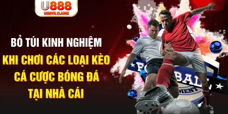 23 win trực tiếp xổ số miền nam