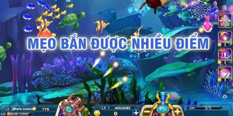 23 win baccarat có lừa đảo không