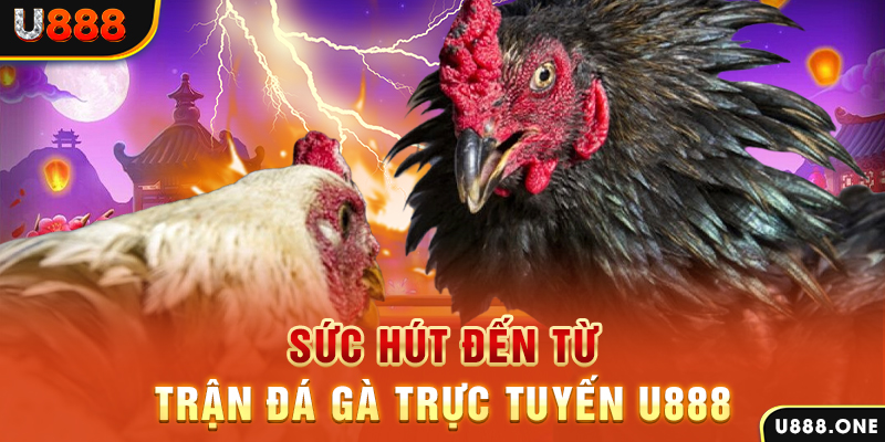 23 win đăng nhập poker 2024