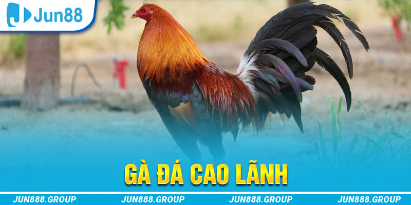 23 win tai game vua bai ve may tinh