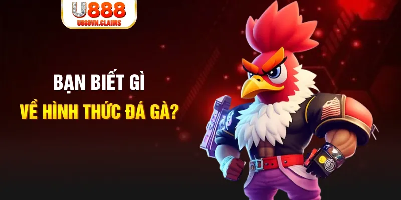 23 win đăng nhập liêng tặng tiền