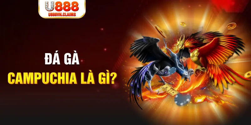 23 win what is the best online casino for real money