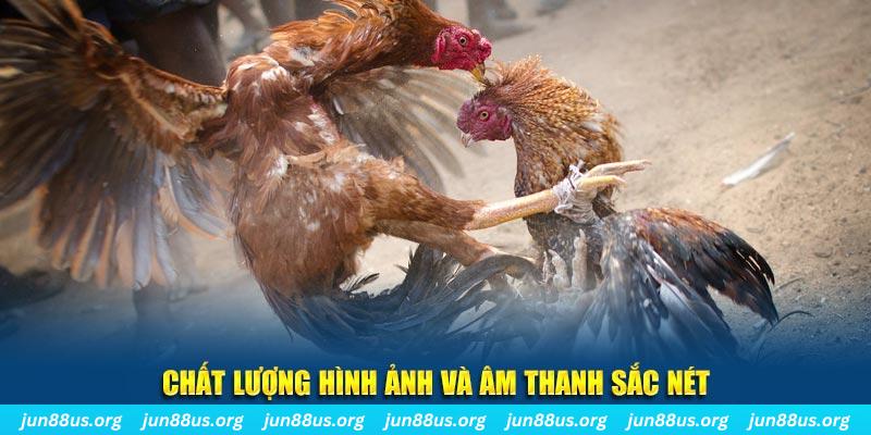 23 win tai game danh bai mien phi ve may tinh