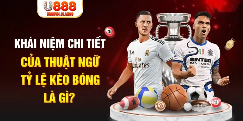 23 win Long Hổ 2