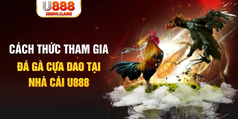 23 win đá gà 88.com