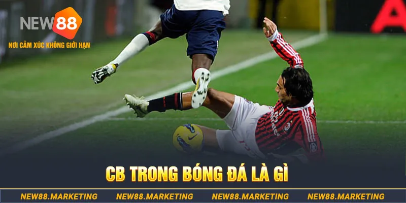 23 win DG Trực Tuyến