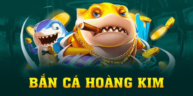23 win bài baccarat là gì