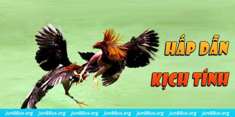 23 win xổ số miền nam thứ sáu
