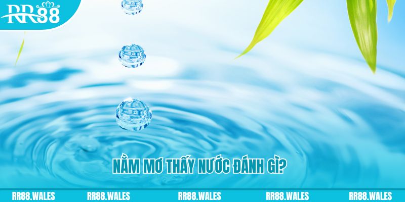 23 win xổ số trực tiếp miền bắc