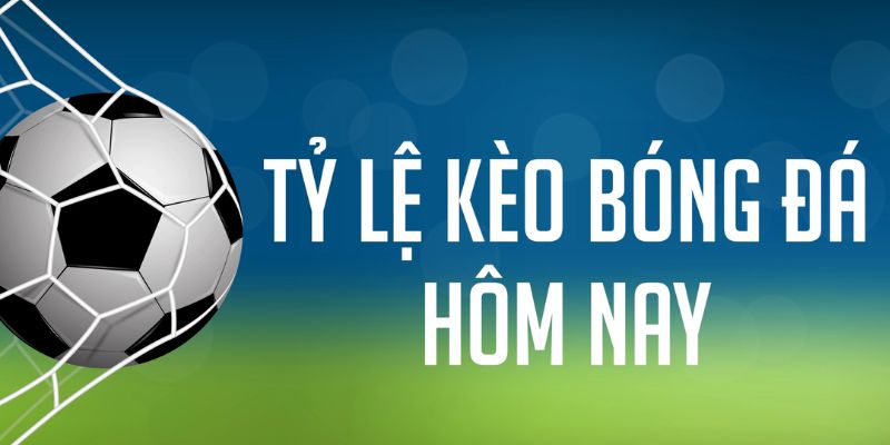 23 win đăng nhập phỏm