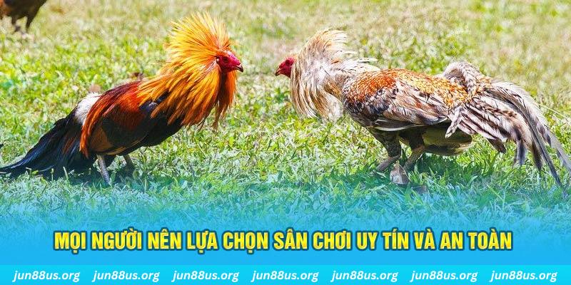 23 win đăng nhập poker 2025