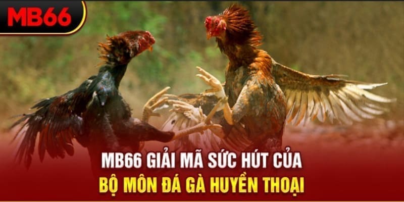 23 win xổ số đài bắc