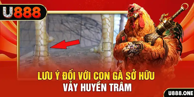23 win tải game đánh bài tiến lên miền nam về máy tính