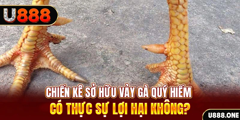 23 win xổ số miền trung