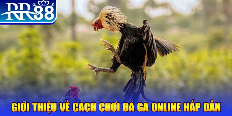23 win EvoPlay Điện Tử