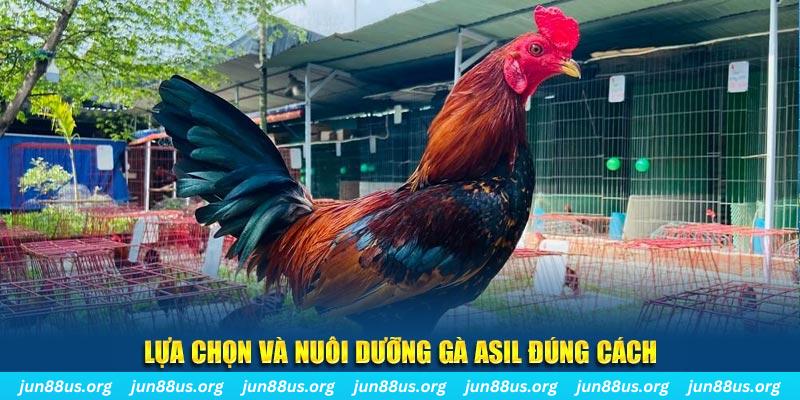 23 win nổ hũ thần tài là gì