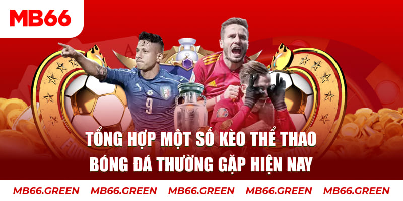 23 win TP Xổ Số