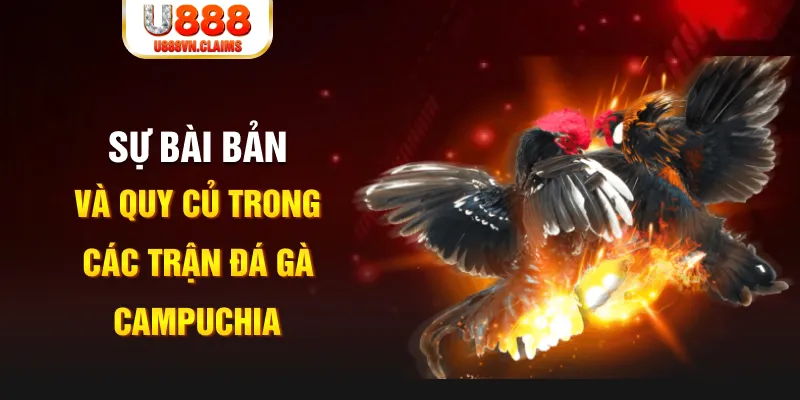 23 win game xếp bài trên máy tính