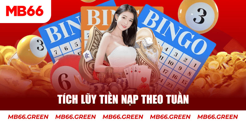 23 win Trăm người Bo tám Bo chín
