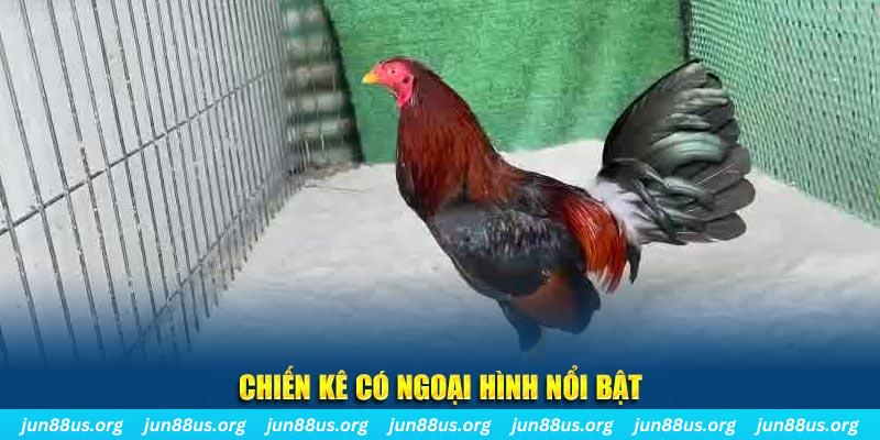 23 win qq88 bắn cá
