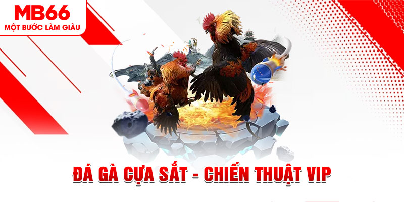 23 win slot out là gì