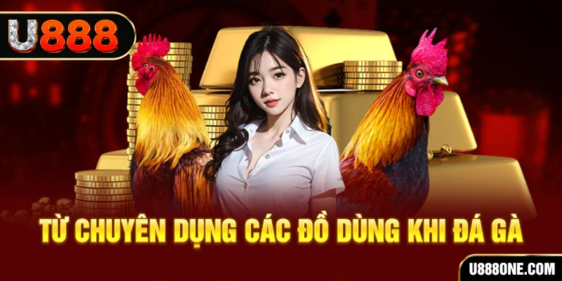 23 win đăng nhập poker trực tiếp