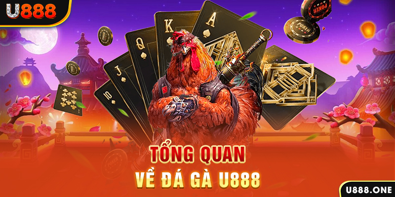 23 win xổ số vietlott