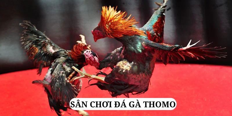 23 win quay nổ hũ là gì