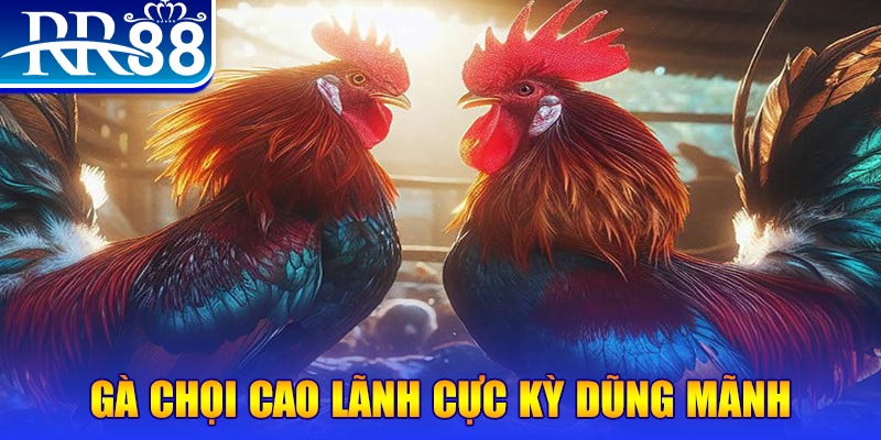 23 win đăng nhập poker live